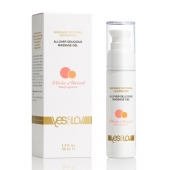 Универсальный массажный гель-смазка Allover Delicious Massage Gel с ароматом персика и аброкоса - 50 мл. - YESforLOV - купить с доставкой в Рязани