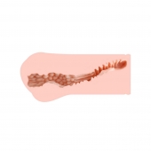 Мастурбатор-вагина Monica без вибрации - KOKOS - в Рязани купить с доставкой