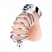 Серебристая клетка для члена Urethral Play Cage - BlueLine - купить с доставкой в Рязани