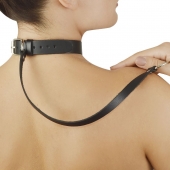 Зеленый меховой ошейник с кожаным поводком - Sitabella - купить с доставкой в Рязани