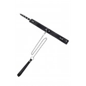 Кожаный двухслойный ошейник с белой строчкой и поводком - Pecado - купить с доставкой в Рязани