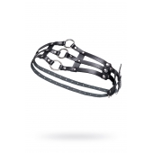 Черный кожаный пояс с кольцами - Pecado - купить с доставкой в Рязани