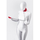 Красный ошейник с подкладкой из меха - ToyFa - купить с доставкой в Рязани