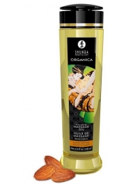 Массажное масло Organica с ароматом миндаля - 240 мл. - Shunga - купить с доставкой в Рязани