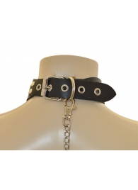 Ошейник  Веселый Роджер - Sitabella - купить с доставкой в Рязани