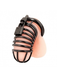 Черная металлическая клетка с замком Deluxe Chastity Cage - BlueLine - купить с доставкой в Рязани