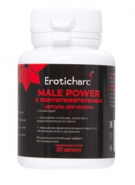 Капсулы для мужчин Erotichard male power с пантогематогеном - 20 капсул (0,370 гр.) - Erotic Hard - купить с доставкой в Рязани