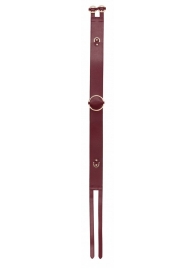 Бордовый ремень Halo Waist Belt - размер L-XL - Shots Media BV - купить с доставкой в Рязани