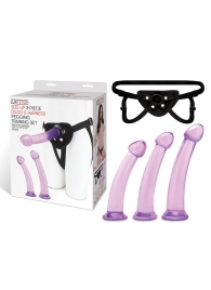 Тренировочный набор с тремя насадками Pegging Training Set - Lux Fetish - купить с доставкой в Рязани