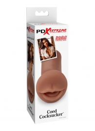 Мастурбатор-ротик Coed Cocksucker - Pipedream - в Рязани купить с доставкой