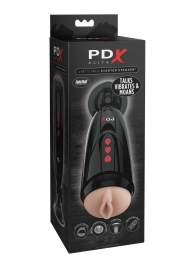 Мастурбатор-вагина с вибрацией Dirty Talk Starter Stroker - Pipedream - в Рязани купить с доставкой