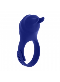 Синее эрекционное виброкольцо с клиторальной подушечкой и пультом ДУ Adjustable Fun Ring - Zero Tolerance - в Рязани купить с доставкой