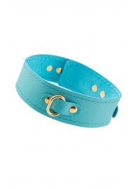 Голубой кожаный однослойный ошейник с прошивкой - Pecado - купить с доставкой в Рязани