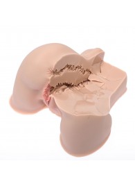 Мастурбатор-полуторс Naked Factory Kate - Naked Factory - в Рязани купить с доставкой