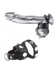 Утяжка для мошонки и пениса Cock Ring With 1  Ball Stretcher And Optional Weight Ring - BlueLine - купить с доставкой в Рязани