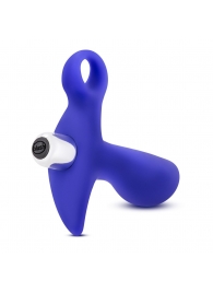 Синий стимулятор простаты с ручкой-кольцом Performance Prostimulator 02 - Blush Novelties - в Рязани купить с доставкой