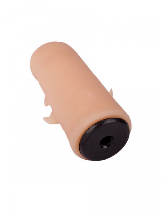 Черный пояс-трусики с двумя насадками  Экзотик-Sara  - 16,5 и 11 см. - LOVETOY (А-Полимер) - купить с доставкой в Рязани