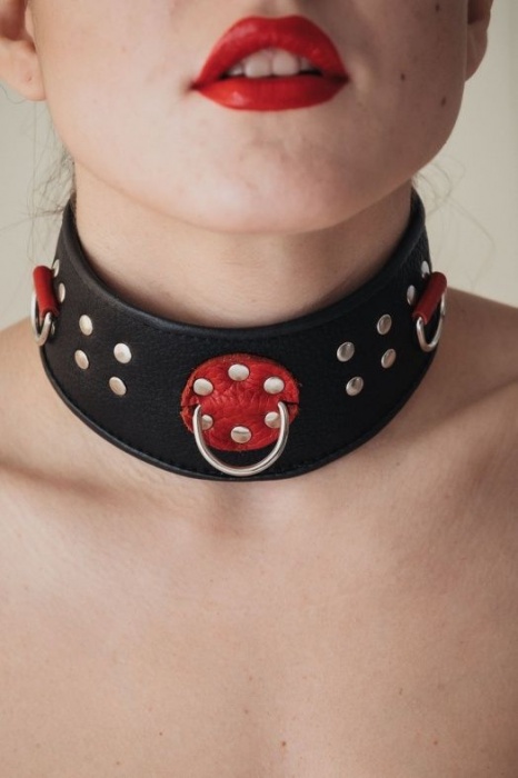 Кожаный ошейник с клепками и кольцами - БДСМ Арсенал - купить с доставкой в Рязани