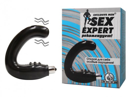 Чёрный массажёр простаты серии Sex Expert - Sex Expert - в Рязани купить с доставкой