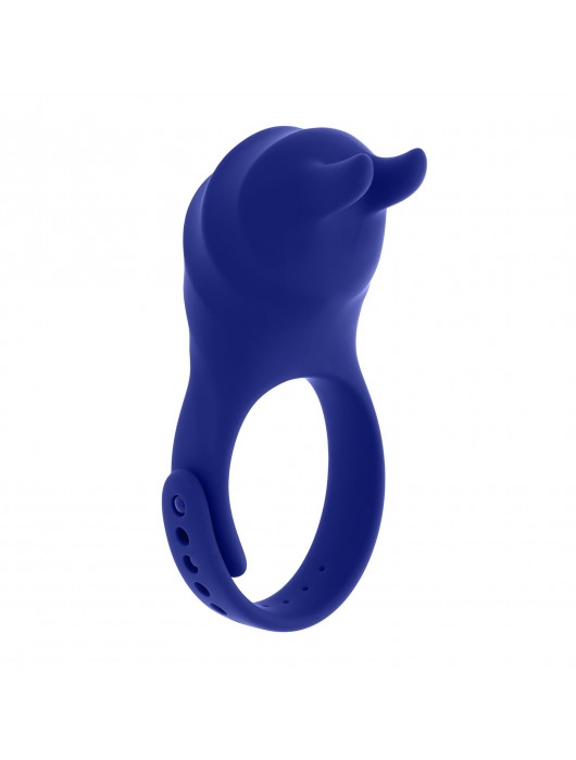 Синее эрекционное виброкольцо с клиторальной подушечкой и пультом ДУ Adjustable Fun Ring - Zero Tolerance - в Рязани купить с доставкой