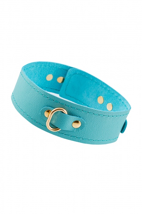 Голубой кожаный однослойный ошейник с прошивкой - Pecado - купить с доставкой в Рязани