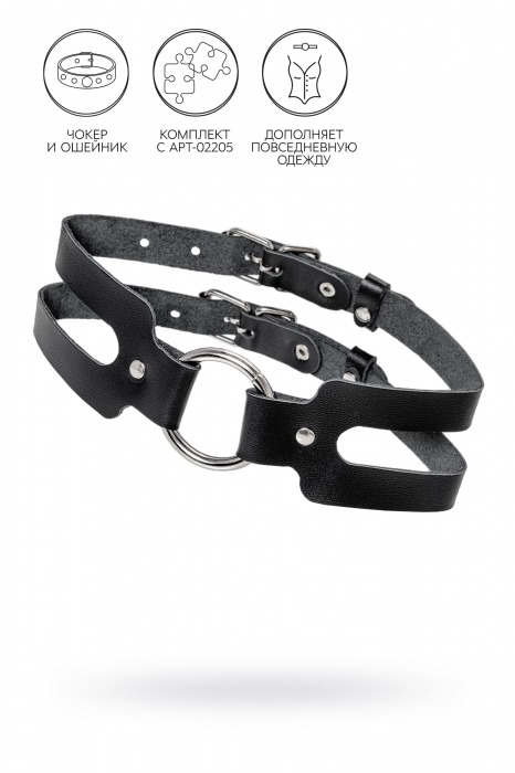 Черный кожаный чокер-ошейник из двух ремешков - Pecado - купить с доставкой в Рязани