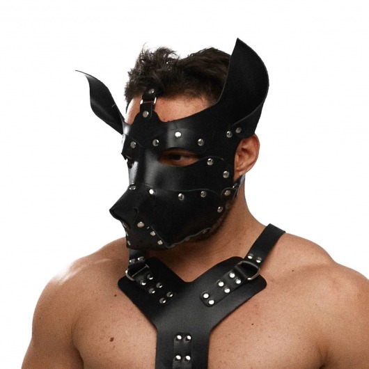 Черная кожаная маска «Собака» - Crazy Handmade - купить с доставкой в Рязани
