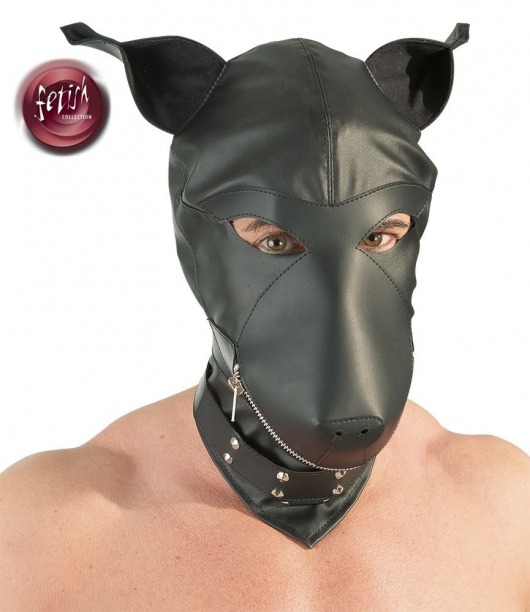 Шлем-маска Dog Mask в виде морды собаки - Orion - купить с доставкой в Рязани