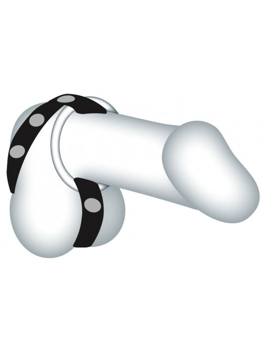 Подхват для мошонки с 3 съемными эрекционными кольцами Leder-Riemen - Orion - в Рязани купить с доставкой