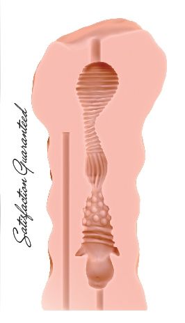 Мастурбатор Satisfaction Honey Pot - Lola Games - в Рязани купить с доставкой