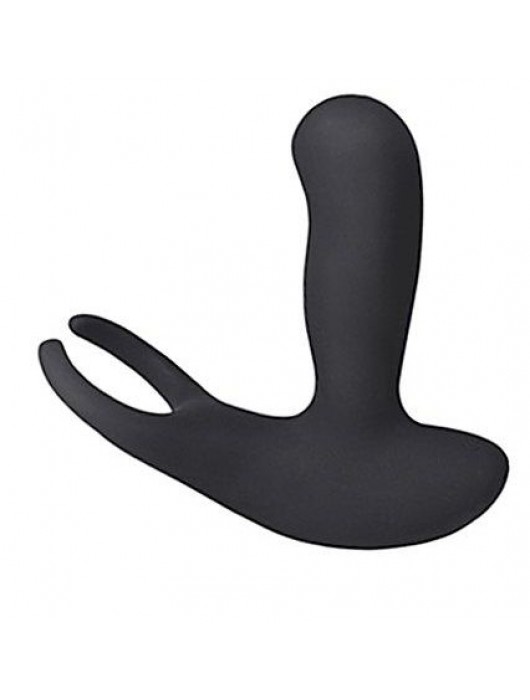 Стимулятор простаты Levett Earl с 2 моторами и пультом ДУ - Levett - в Рязани купить с доставкой