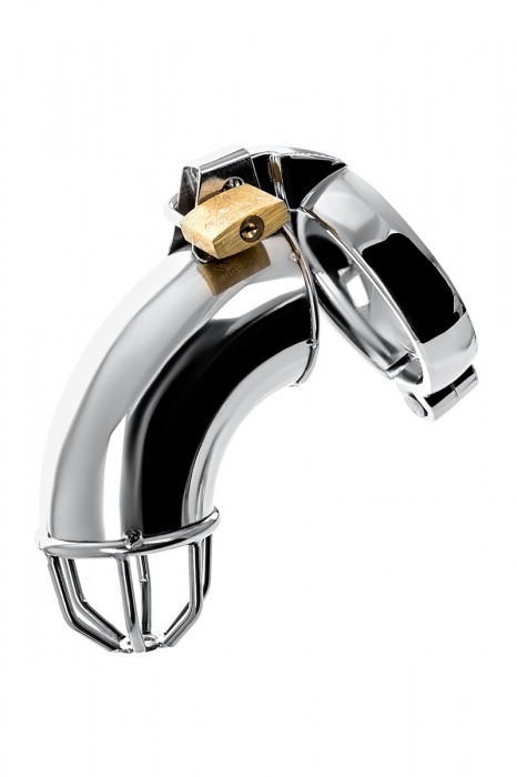 Серебристый мужской пояс верности TOYFA Metal - ToyFa - купить с доставкой в Рязани