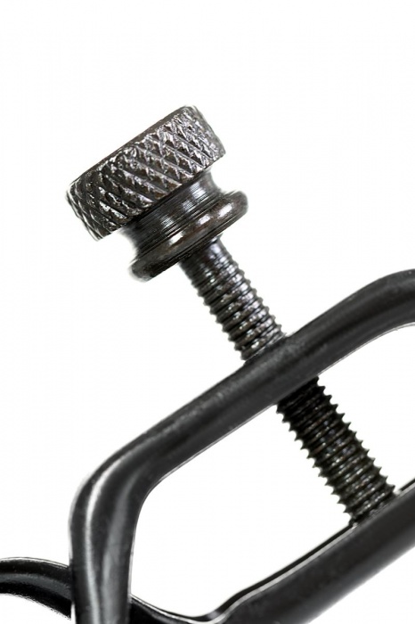 Черно-золотистые зажимы для сосков TOYFA Theatre - ToyFa - купить с доставкой в Рязани