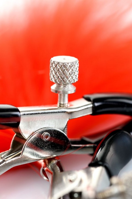 Зажимы для сосков с красным пухом Theatre - ToyFa - купить с доставкой в Рязани