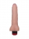 Реалистичный вибромассажёр COCK NEXT 6 - 17,3 см. - LOVETOY (А-Полимер) купить в Рязани с доставкой в Orgasmix.ru Реалистичный вибромассажёр COCK NEXT 6 - 17,3 см. - LOVETOY (А-Полимер)